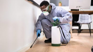 tips-for-keeping-your-home-pest-free