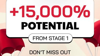 punisher-coin-($pun):-the-meme-coin-ready-to-rewrite-the-crypto-presale-playbook