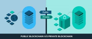 public-vs-private-blockchain:-which-one-is-right-for-you?-exploring-with-cryptotact