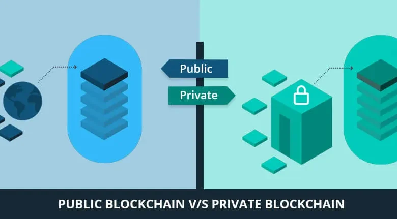 public-vs-private-blockchain:-which-one-is-right-for-you?-exploring-with-cryptotact