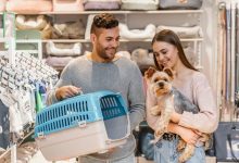 peten-koiratarvike-review:-your-one-stop-pet-supply-destination-in-finland
