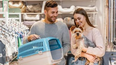 peten-koiratarvike-review:-your-one-stop-pet-supply-destination-in-finland