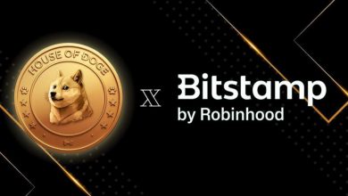 house-of-doge-and-bitstamp-by-robinhood-announce-strategic-partnership-for-nyse:zone-treasury